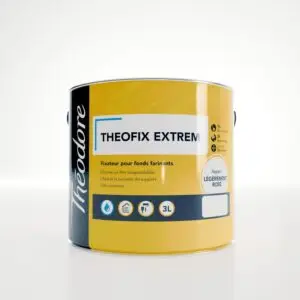 Durcisseur fixateur de fonds Theofix Extrem
