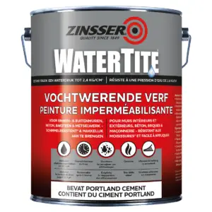 Peinture imperméabilisante pour caves et sous-sols Watertite