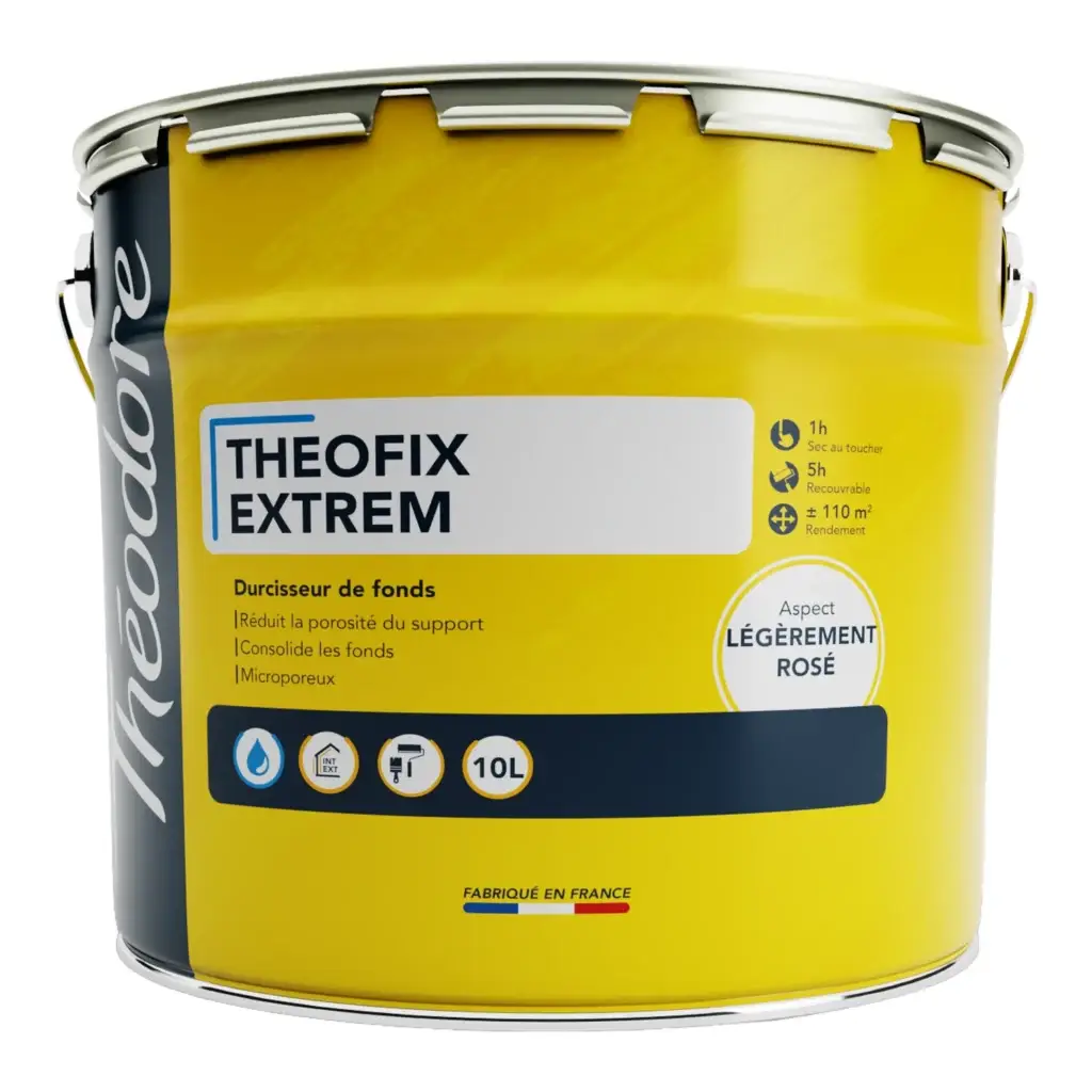 Durcisseur fixateur de fonds Theofix Extrem